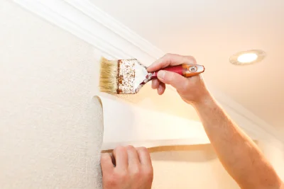 Pose de papier peint à la Buisse — revêtements muraux et toiles de verre